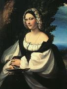 CORNELISZ VAN OOSTSANEN, Jacob Portrait of a Gentlewoman df oil